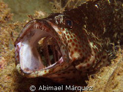 Ahhhhhhhh, Crash Boat, Aguadilla, PR. by Abimael Márquez 
